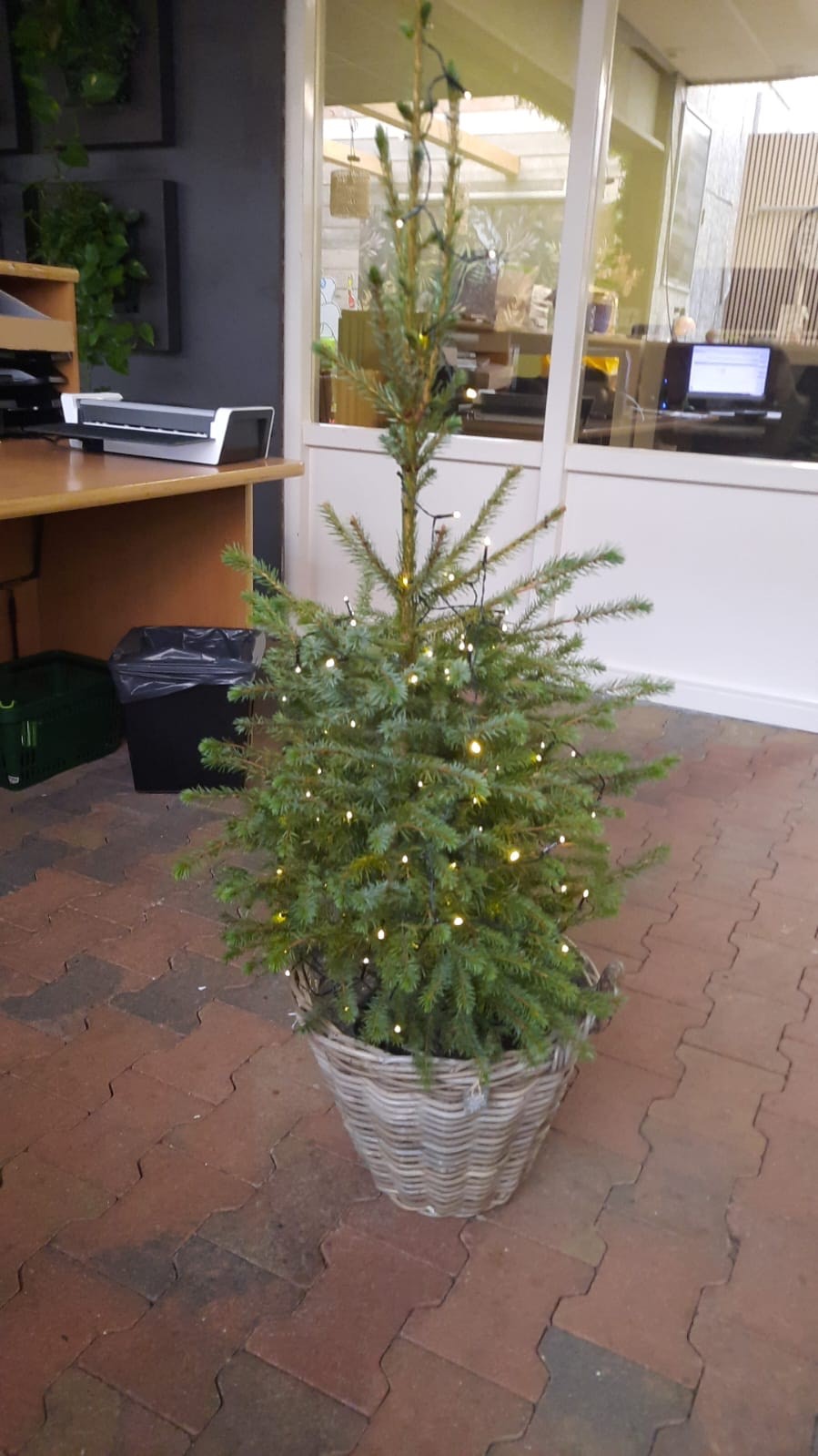 kerstboom.jpg